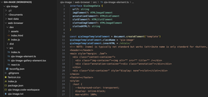 qia-image code workspace screenshot on 20231103